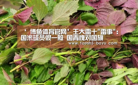 ‘ 博鱼体育官网’王大雷十雷事:国米球员很一般 国青愧对国旗(图1) BOYU Sports