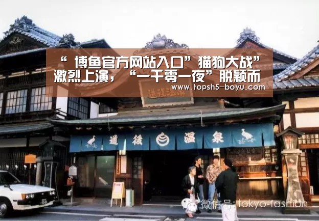 “ 博鱼官方网站入口”猫狗大战”激烈上演,“一千零一夜”脱颖而出——2016第十六届“中国新广告奖”评审 在上师大成功举办(图3) 博鱼体育平台