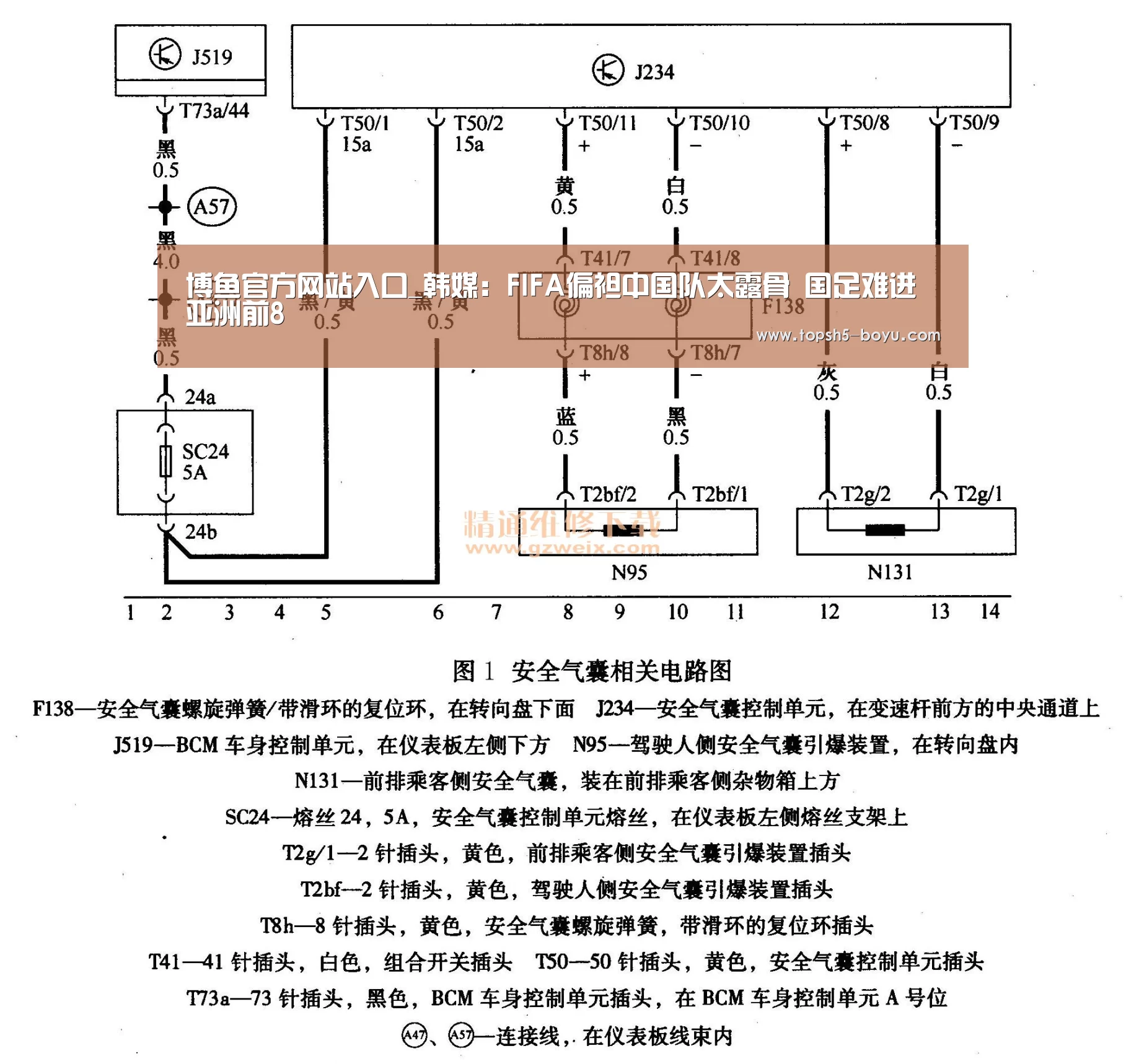  博鱼官方网站入口