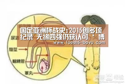国足亚洲杯战史:2015创多项纪录 无缘四强仍获认可‘ 博鱼体育官网’(图3) 博鱼体育官网