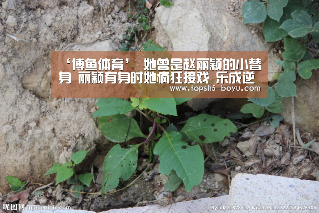 ‘博鱼体育’
她曾是赵丽颖的小替身 丽颖有身时她疯狂接戏 乐成逆袭成“一线女星”(图2) 博鱼体育官网